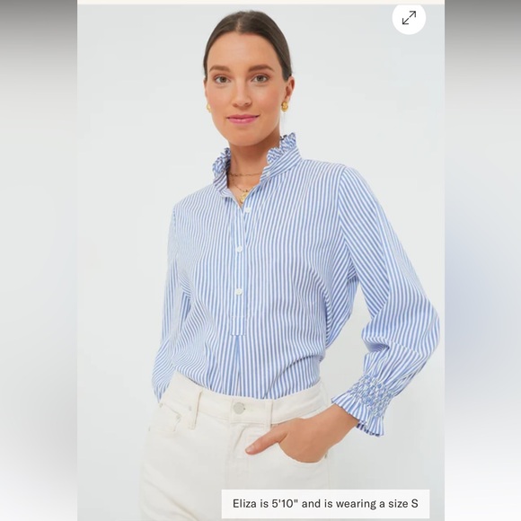 Tuckernuck Blue and White Striped Blouse - Picture 4 of 10